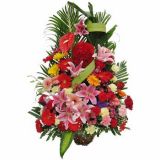 óʻٵ